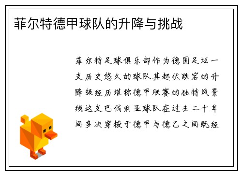 菲尔特德甲球队的升降与挑战