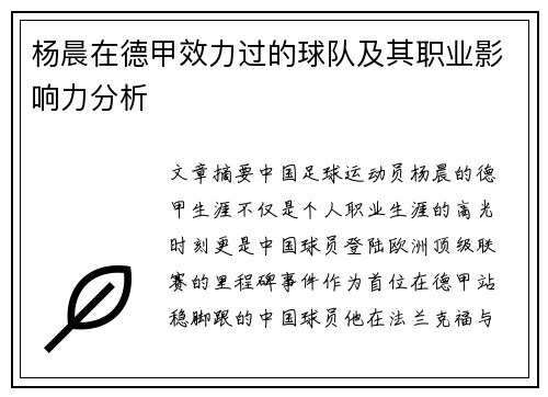 杨晨在德甲效力过的球队及其职业影响力分析